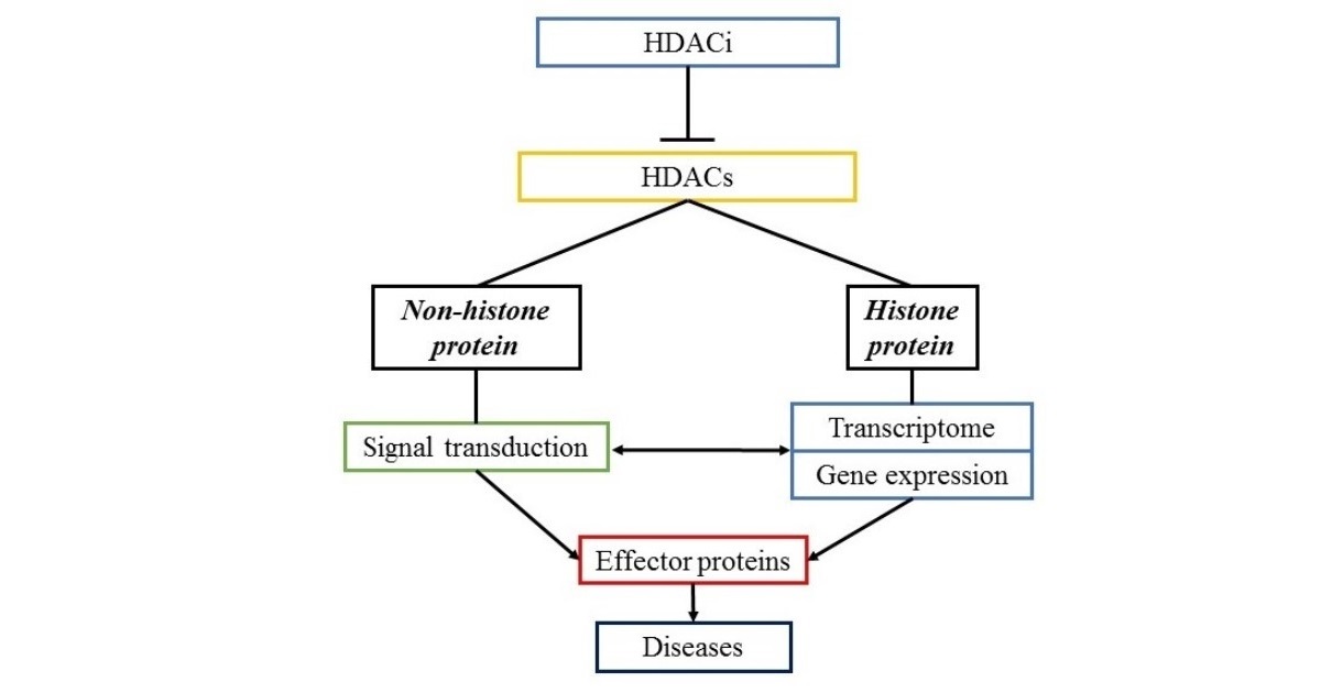 Graphical abstract